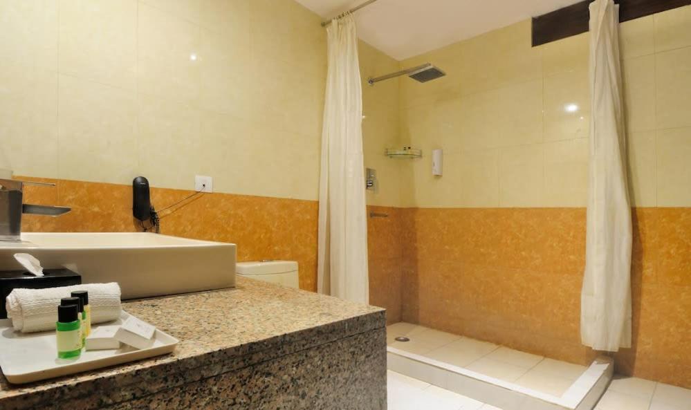 Zenith Hotel - Delhi Airport Ню Делхи Екстериор снимка