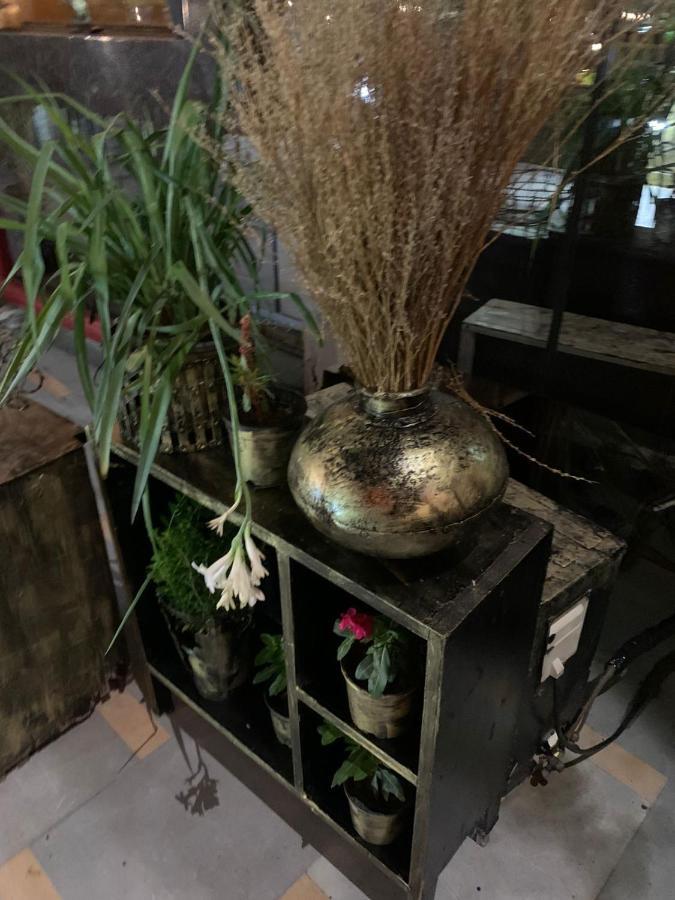 Zenith Hotel - Delhi Airport Ню Делхи Екстериор снимка